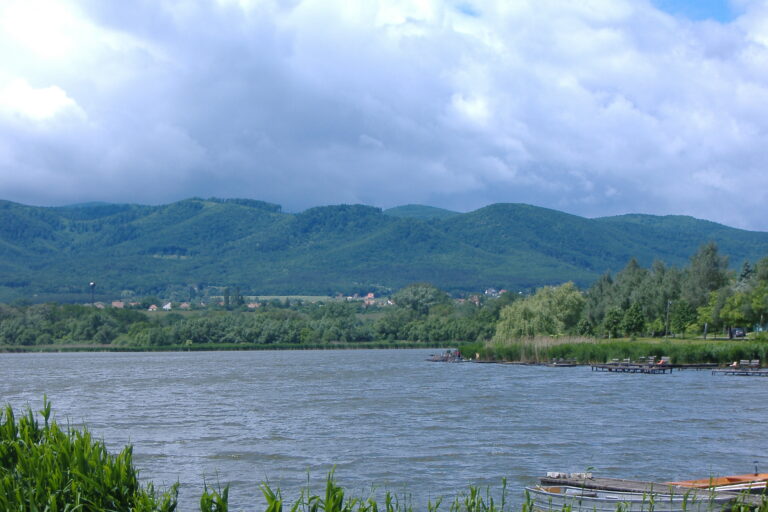 Diósjenő távolról